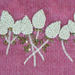 Espiga Collection