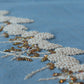 Espiga Collection